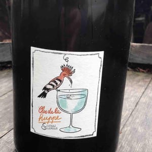 Clos de la huppe - Château Gaudrelle - emile-pasquier -2021
