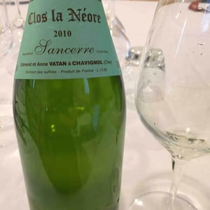 Clos de la Néore - Edmond Vatan - edmond-vatan