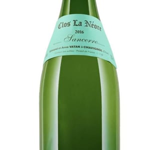Clos de la Néore - Edmond Vatan - edmond-vatan