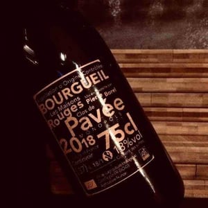 Clos de Pavée - Pierre Borel Vigneron - Pierre Borel 
