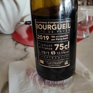Clos de Pavée - Pierre Borel Vigneron - Pierre Borel 