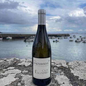Clos des Escounils - Domaine Danjou-Banessy - benoit-sebastien-danjou
