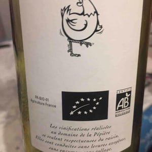 Clos des Briords - Domaine de la Pépière - marc-ollivier-remi-branger-gwenaelle-croix