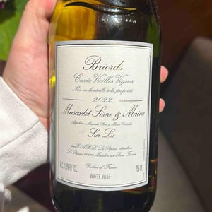 Briords Cuvée Vieilles Vignes - France - marc-ollivier-remi-branger-gwenaelle-croix
