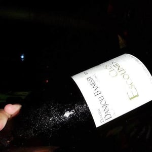 Clos des Escounils - Domaine Danjou-Banessy - benoit-sebastien-danjou