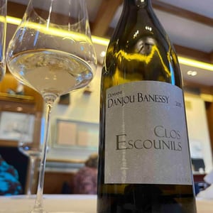 Clos des Escounils - Domaine Danjou-Banessy - Benoît & Sébastien Danjou 