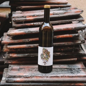 Whaka Piripiri Mai - Clos des Plantes - olivier-lejeune