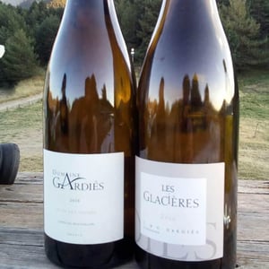Clos des Vignes Blanc - Domaine Gardiés - Jean & Victor Gardiés 