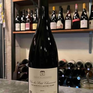 Clos Du Petit Chavannes - Domaine de l'Enchantoir - amandine-jean-michel-fabienne-brunet -2017