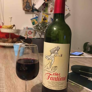 Clos Fantome - Clos Fantine - Carole, Olivier & Corine Andrieu 