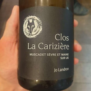 Clos la Carizière - Domaine Jo Landron - jo-landron