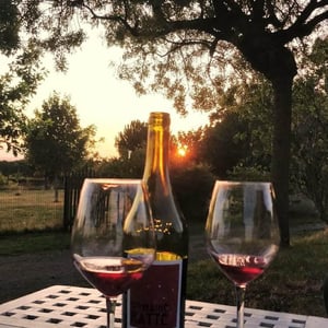 Domaine Ratte - Michel-Henri Ratte - Clos Maire