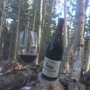Clos Nouveau - Domaine Du Bel Air - pierre-rodolphe-gauthier