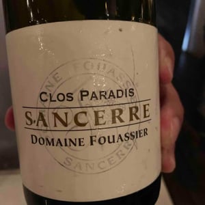 Clos Paradis 2017 - Domaine Fouassier - Benoit & Paul Fouassier