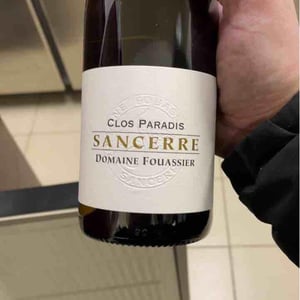 Clos Paradis - Domaine Fouassier - benoit-paul-fouassier
