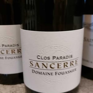 Clos Paradis - Domaine Fouassier - benoit-paul-fouassier