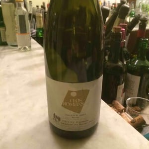 Clos Romans - Domaine des Roches Neuves - Thierry et Louis Germain 