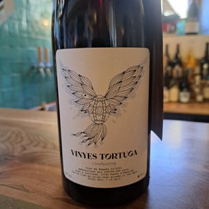 Cloudbusting - Vinyes Tortuga - Dido & Jurriaan 