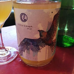Cloudwalker Orange - Cambridge Road Vineyard - lance-redgwell
