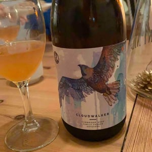 Cloudwalker Orange - Cambridge Road Vineyard - Lance Redgwell 