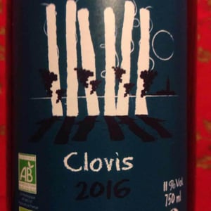 Clovis - Les Terres Bleues - Xavière Hardy 
