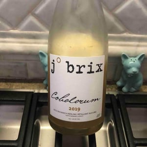 Cobocorum Pét Nat - J. Brix Wines - Jody Brix Towe & Emily Towe 
