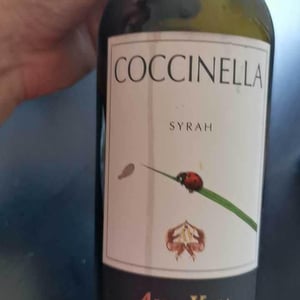 Coccinella - Azienda Agricola Aldo Viola - aldo-viola