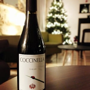 Coccinella - Azienda Agricola Aldo Viola - aldo-viola