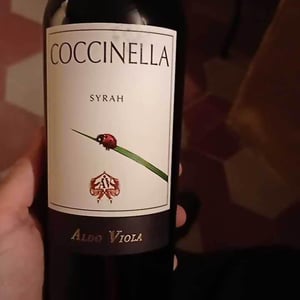 Coccinella - Azienda Agricola Aldo Viola - aldo-viola