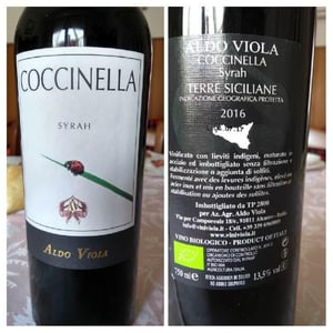 Coccinella - Azienda Agricola Aldo Viola - aldo-viola