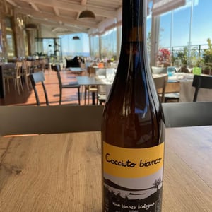 Cocciuto bianco - Le Coste - clementine-bouveron-gianmarco-antonuzi -2021