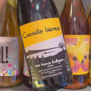 Cocciuto bianco - Le Coste - Clémentine Bouveron & Gianmarco Antonuzi -2021
