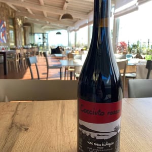 Cocciuto rosso - Le Coste - clementine-bouveron-gianmarco-antonuzi -2021