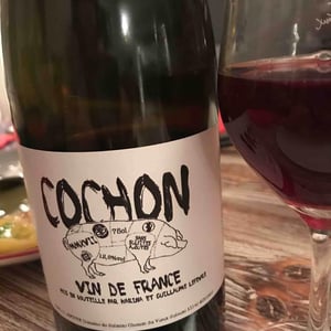 Domaine de Sulauze - Karina & Guillaume Lefèvre - Cochon