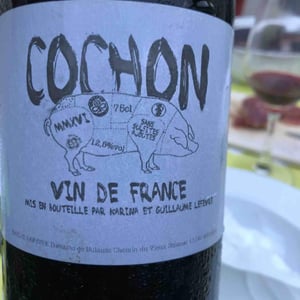 Domaine de Sulauze - Karina & Guillaume Lefèvre - Cochon