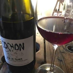 Domaine de Sulauze - Karina & Guillaume Lefèvre - Cochon