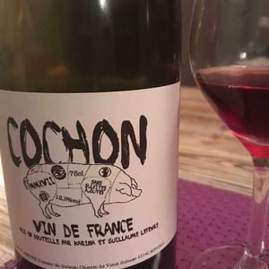 Domaine de Sulauze - Karina & Guillaume Lefèvre - Cochon