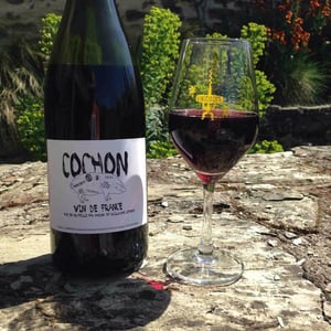 Domaine de Sulauze - Karina & Guillaume Lefèvre - Cochon