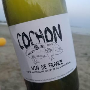 Cochon - Domaine de Sulauze - Karina & Guillaume Lefèvre 