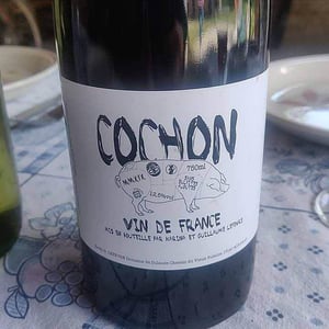 Domaine de Sulauze - Karina & Guillaume Lefèvre - Cochon
