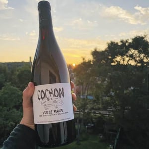 Cochon - Domaine de Sulauze - karina-guillaume-lefevre