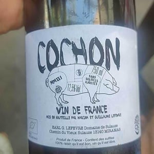 Domaine de Sulauze - Karina & Guillaume Lefèvre - Cochon