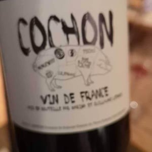 Domaine de Sulauze - Karina & Guillaume Lefèvre - Cochon