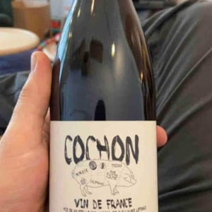 Domaine de Sulauze - Karina & Guillaume Lefèvre - Cochon
