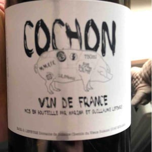 Domaine de Sulauze - Karina & Guillaume Lefèvre - Cochon