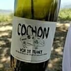 Domaine de Sulauze - Karina & Guillaume Lefèvre - Cochon