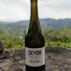 Domaine de Sulauze - Karina & Guillaume Lefèvre - Cochon