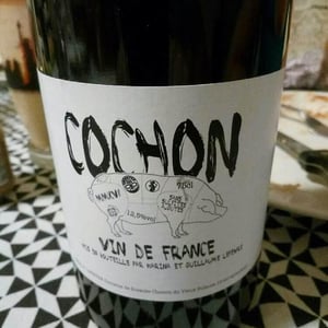 Domaine de Sulauze - Karina & Guillaume Lefèvre - Cochon