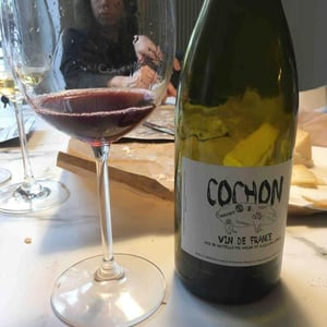 Domaine de Sulauze - Karina & Guillaume Lefèvre - Cochon