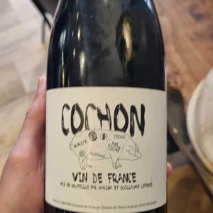 Domaine de Sulauze - Karina & Guillaume Lefèvre - Cochon